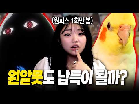 The viral One Piece 'Parrot Theory'—can it convince someone who has never watched the show?