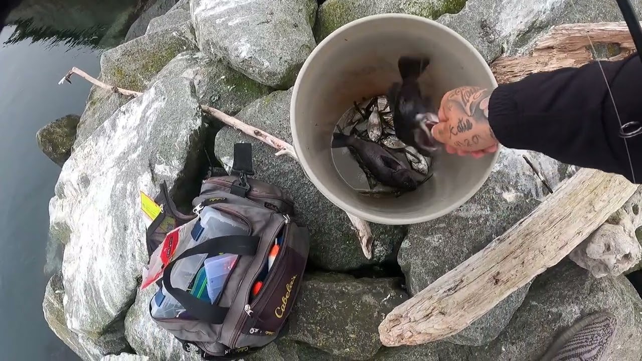 Rock bass fishing