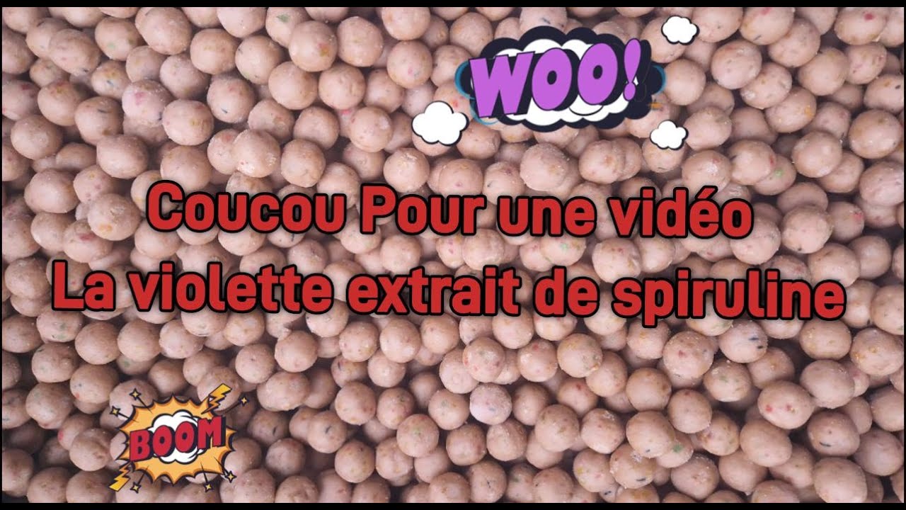 la violette extrait de spiruline
