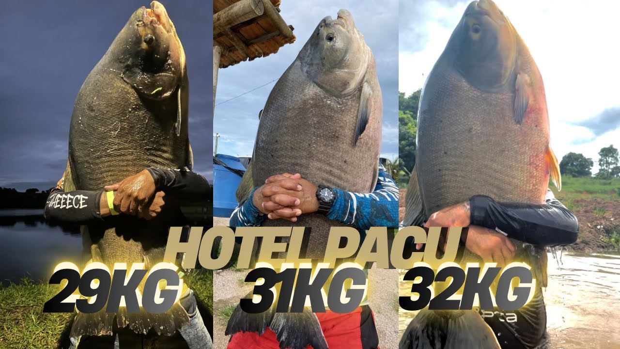 Segunda Vez no @hotelpacu !🎣👑 