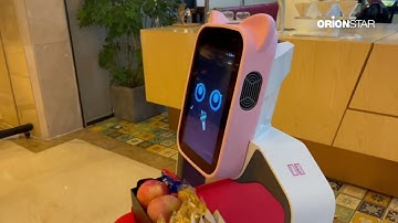 LuckiBot AI Interactive Delivery Robot Operation Guide, French Version