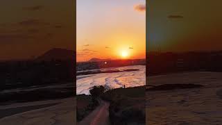      True Love1993 Fujii Fumiya