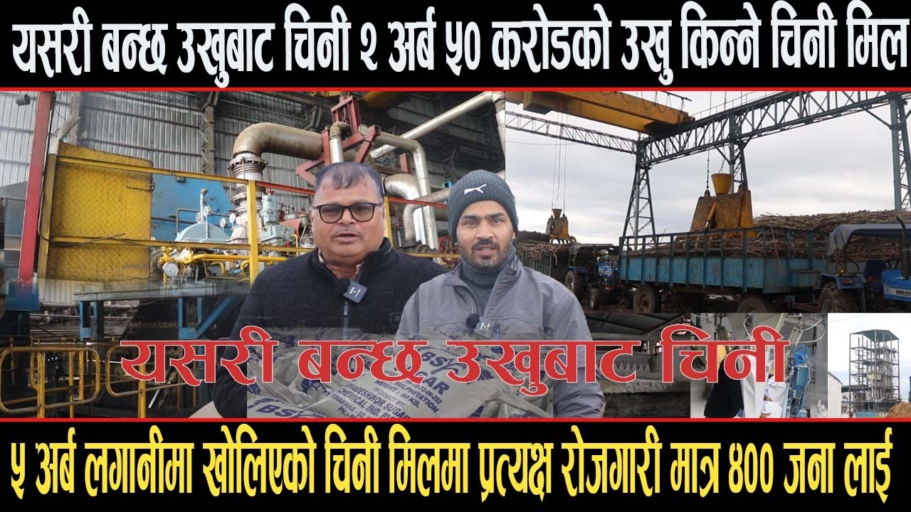 यसरी बन्छ उखुबाट चिनी,५ अर्ब लगानीमा खोलिएको चिनी मिलमा प्रत्यक्ष रोजगारी मात्र ४०० जना लाईsuger