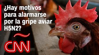 ¿Existe riesgo de consumir aves ante influenza aviar en México?