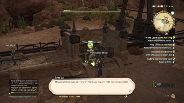 Gameplay (Gladiator) FFXIV Realm Reborn