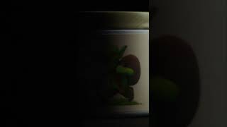 Somethings In The Air Can You Smell It?