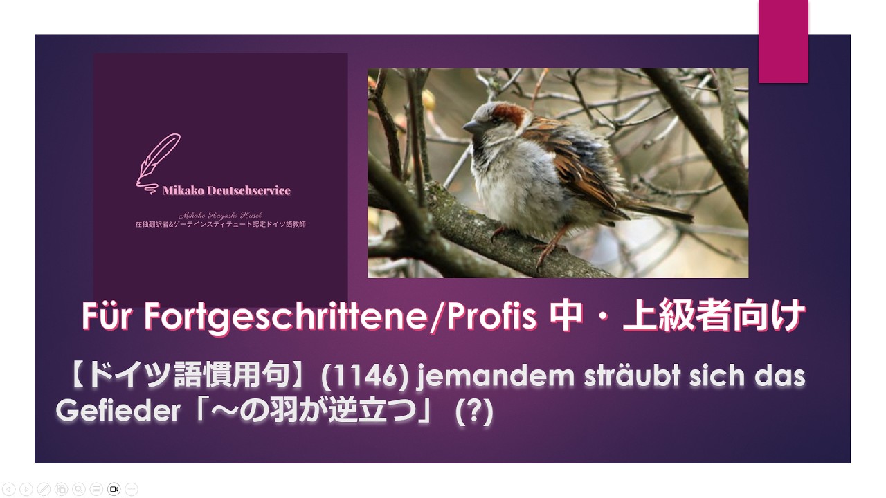 クリスタルパラディン　ドイツ語 ドイツ語慣用句】(1146) jemandem sträubt sich das Gefieder「～の羽