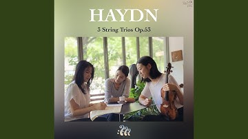 String Trio Op.53 in G Major, No.1, Hob. XVI:40: I. Allegretto ed innocente