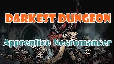 [Darkest Dungeon]Hunting the Apprentice Necromancer(No Light)
