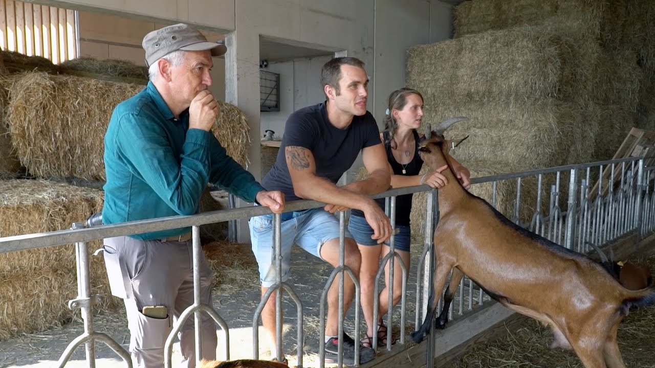 RAVINA DI TRENTO: PICCOLI RUMINANTI PER GRANDI PRODOTTI