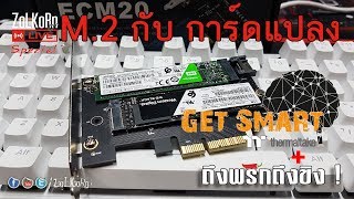 M.2 SSD ปะทะ การ์ดแปลง PCIe + M-Key vs B-Key แตกต่างกันอย่างไร ?  : ZoLKoRn on Live #Special