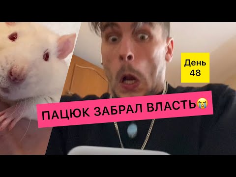 ПАЦЮК ПРЕДОСТАВИЛ ДОКАЗАТЕЛЬСТВА / КРЫСА ОБМАНУЛА ЧЕЛОВЕКА