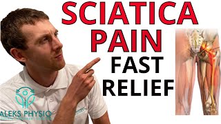 Sciatic Nerve Pain Relief Exercise Aleks Physio