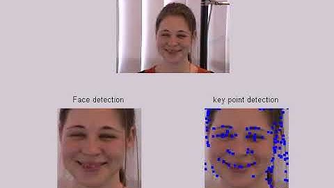 Face key point detection