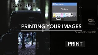 Why Print Your Images? || Printing on the Epson SC P600
