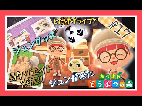 【あつ森実況】色々起こりすぎた１日【あつまれどうぶつの森】【Animal Crossing】【マイデザイン】【とたけけ】【島クリエイト】【女性実況者】【ゲーム実況】【TAMAchan】