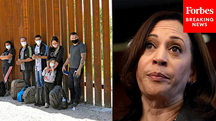 GOP Lawmaker Lambasts 'Border Czar Harris' And Biden Admin Border Policy