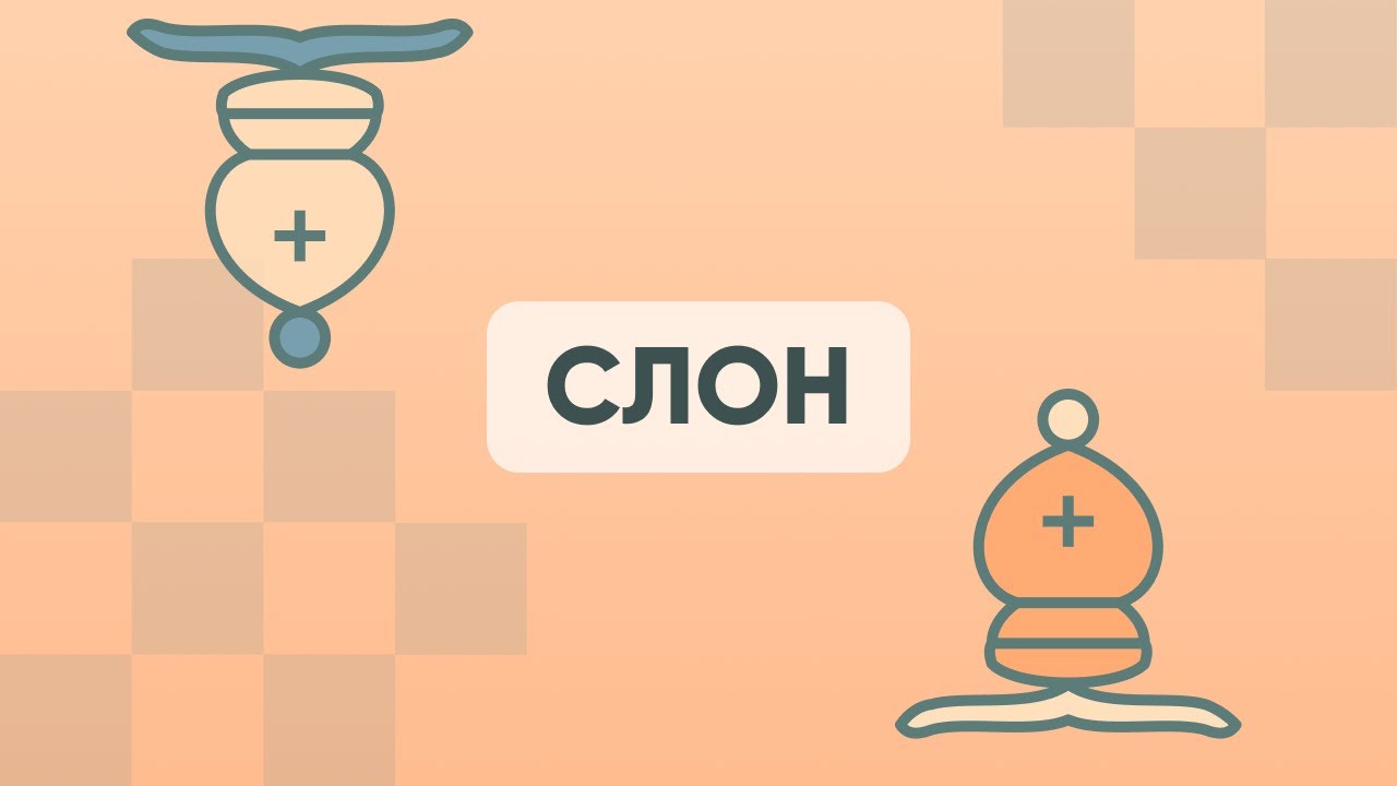 Степчесс