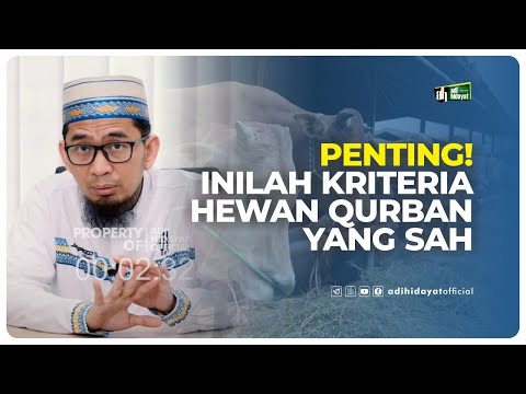 Video: Kepentingan ID Yang Benar Dengan Anjing Anda