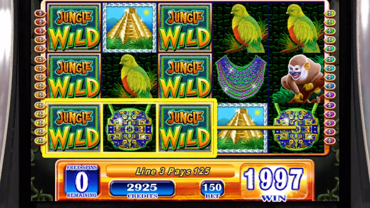 wild jungle casino apostas