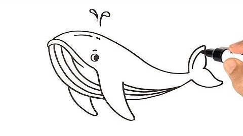 How to Draw a HUMPBACK WHALE Easy Step by Step for Beginners
