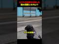 カラスの知能を利用した街の清掃システム!? #海外 #shorts