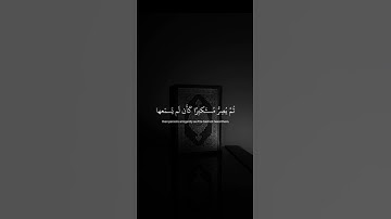 اكتب شيء تؤجر عليه ❤️ // قران كريم | ياسر الدوسري