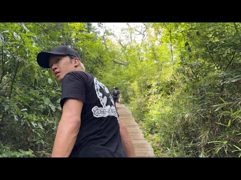 休日に高尾山を登ってみたよ