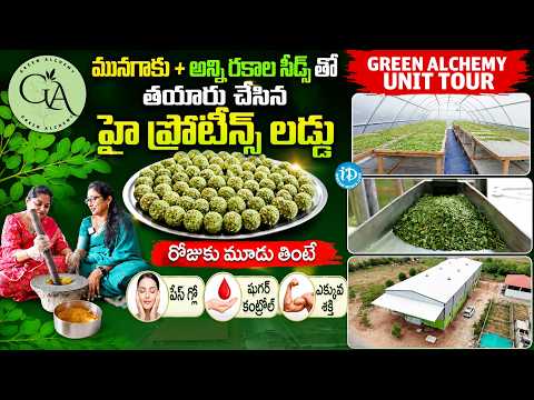Green Alchemy Moringa Laddu | Unit Tour | Health Benefits | Founder Aruna With Anchor Jaya | iDream - IDREAMMEDIA