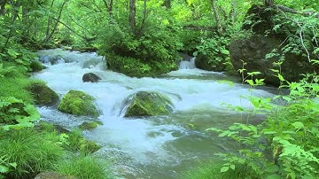 Nhạc thư giãn cùng tiếng suối chảy và tiếng chim hót cực hay ★2