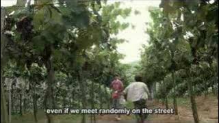 [MV]The Vineyard Man