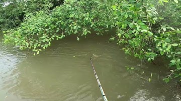 Đi Thực Tế Máy 84fet 24V . Cá Nỗi Như Phao Bơi . lh . 0369051161