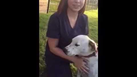 Intro to Veterinary Technology AVMA Tasks Video