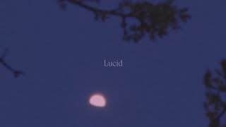 Adam Dodson — Lucid