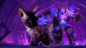 Mythic Plexus Sentinel | Disc Priest pov