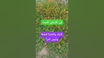 تلاوة ماشاء الله تبارك الرحمان تهز النفوس اكسبلور exblore