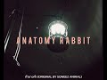  original by sqweez animal  anatomy rabbit unofficial audio