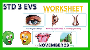 VICTERS STD 3 |EVS|WORKSHEET| NOVEMBER 23