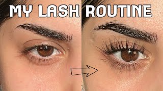 How I keep my straight lashes curled ALL DAY *Includes my tiktok viral curling method* Resimi