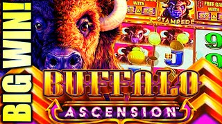 ASCENDED X3 X5 FEATURE TRIGGERED ? BUFFALO ASCENSION Slot Machine (Aristocrat Gaming)