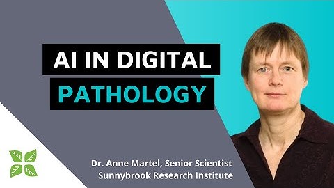 AI in Digital Pathology