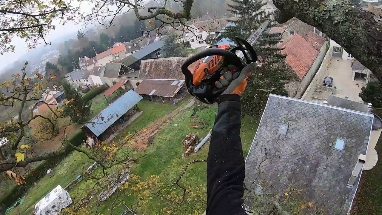 Elagage platane plus de 30m 😰😯😊 greenmech quadchip 160p