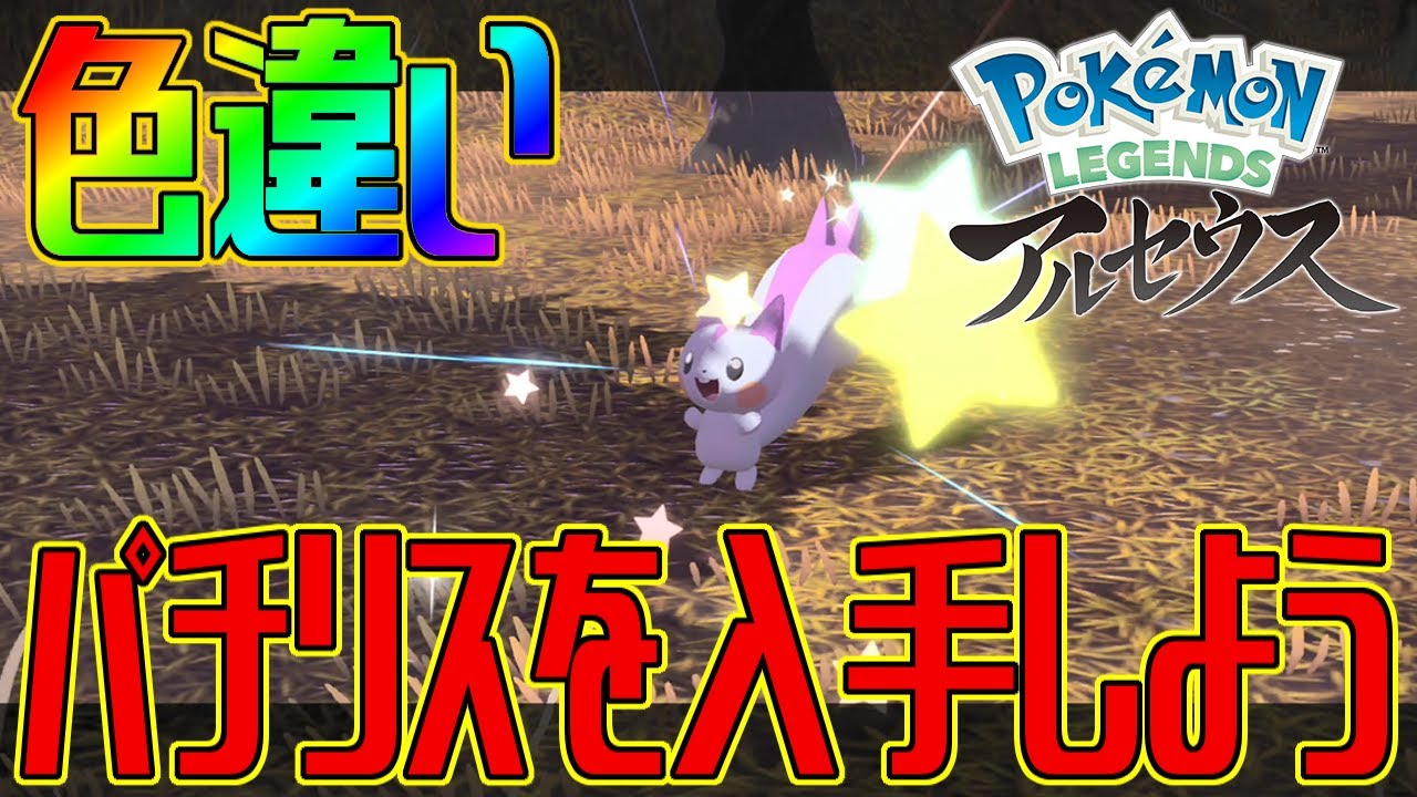 ポケモンアルセウス 色違いパチリスを入手しよう Pokemon Legends アルセウス Youtube