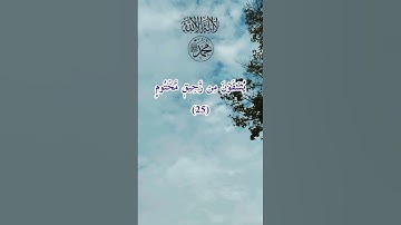 (إِنَّ الْأَبْرَارَ لَفِي نَعِيمٍ)سورة المطففين للشيخ عبدالباسط عبدالصمد رحمه الله واسكنه فسيح جناته