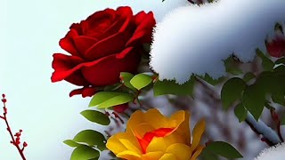 Nature flowers status🌻 | Beautiful love flowers status 🌹| Beautiful flower video |💐