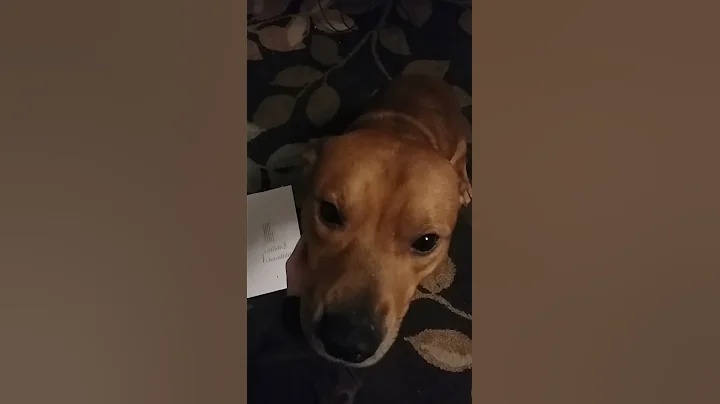 Doobie