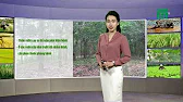 
      Thời tiết nông vụ 27/07/2019: Từ đêm 29 nhiều nơi tại Bắc bộ sẽ có mưa| VTC14
    