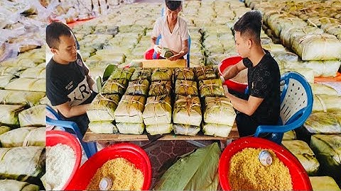 Lò Bánh Chưng Chuẩn Vị Bắc Gói Bằng Tay Cực Đẹp 80k/cái Lớn nhất Nhì Sài Gòn|Hà Gia TV