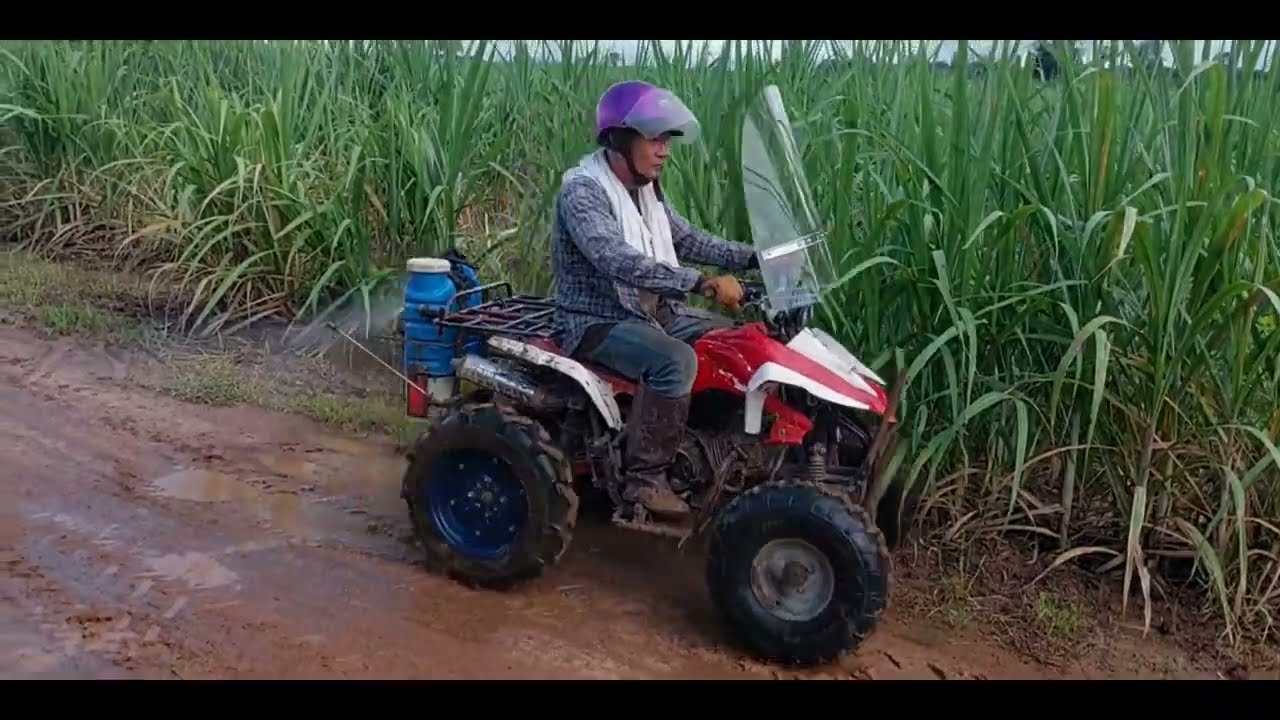 รถฉีดหญ้าในไร่อ้อยATVล้อโต สุดยอดอีหลี!!!#มาแรง #รถไถเดินตาม #ขึ้นฟีต #tractor