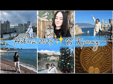 НОВОГОДНИЙ БОЛЬШОЙ ВЛОГ🎄✨Наши поздравления 🎉